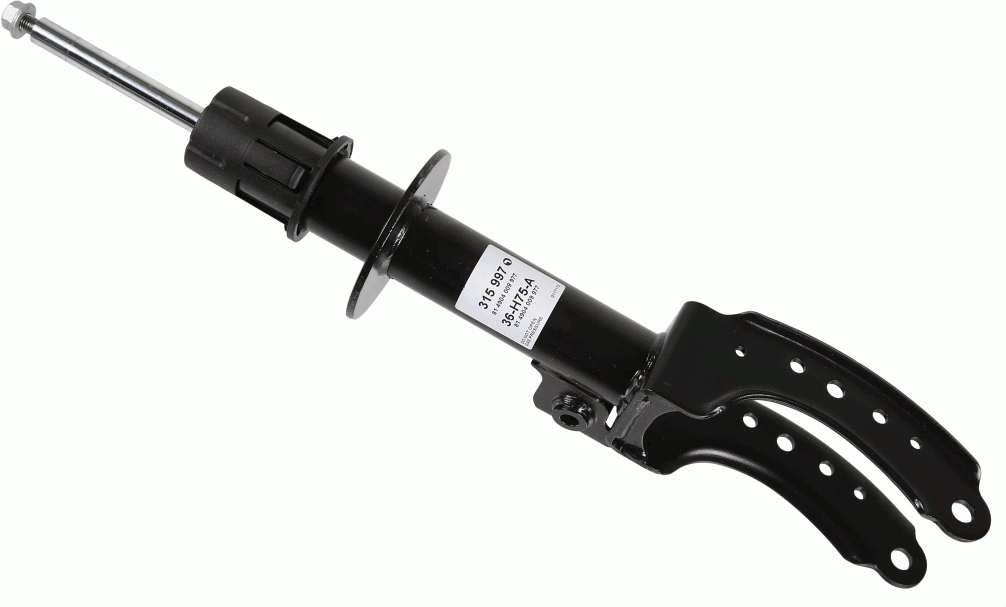 SACHS 315997