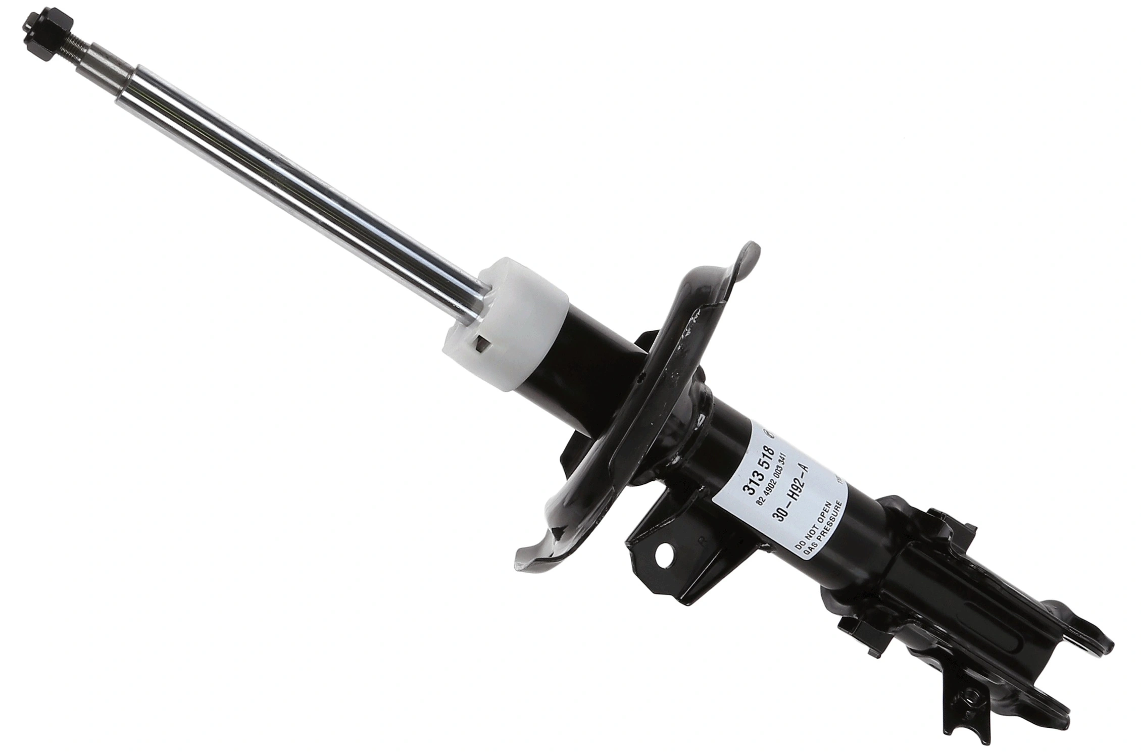 SACHS 313518