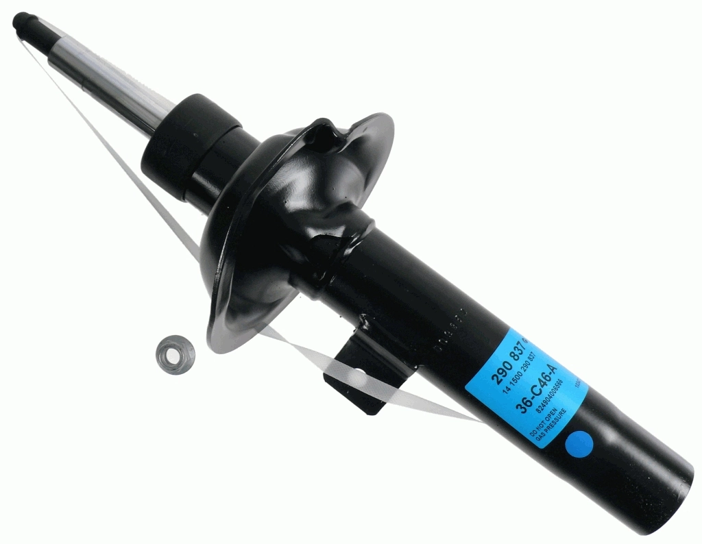 SACHS 290837