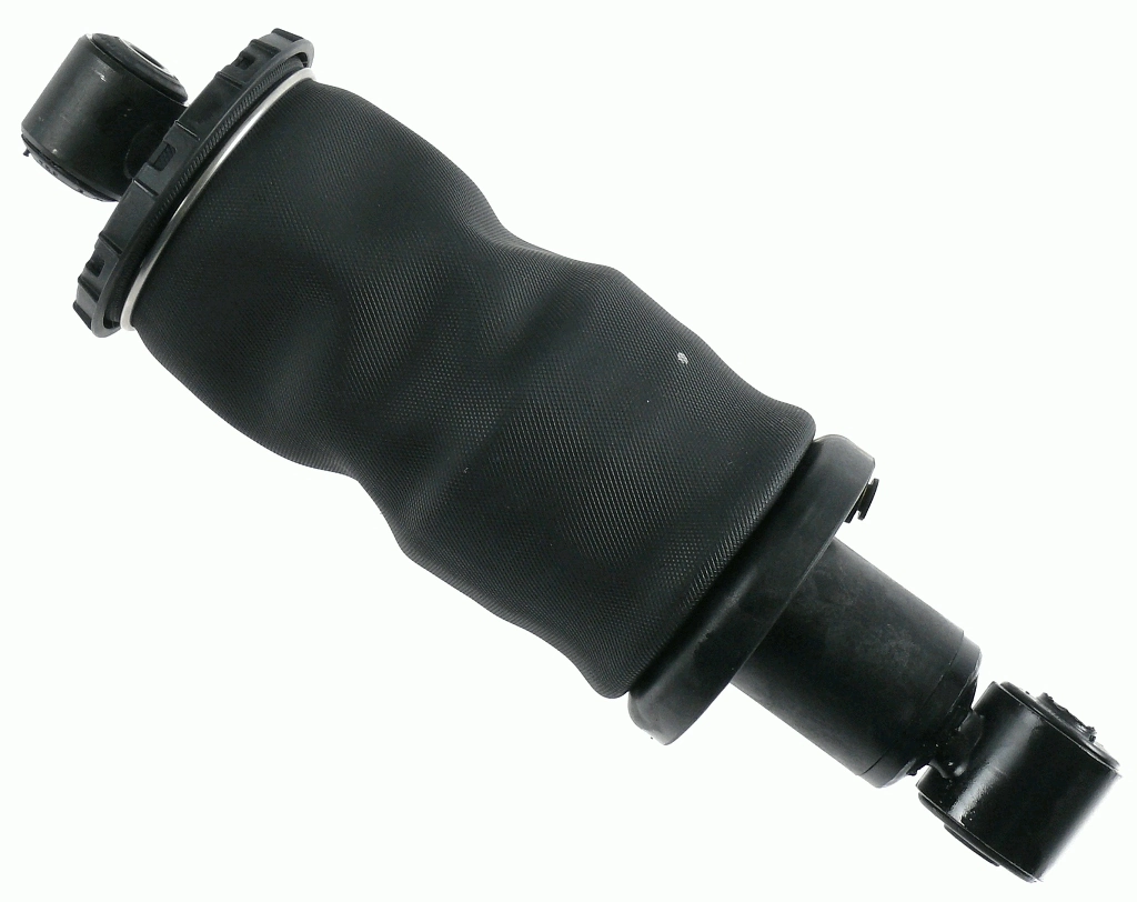 SACHS 313183