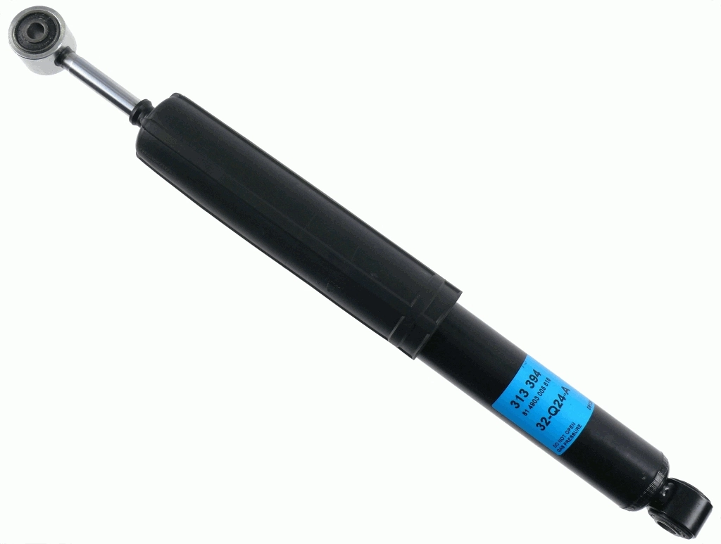 SACHS 313394