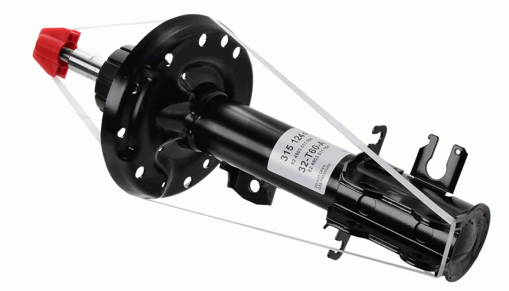 SACHS 315124