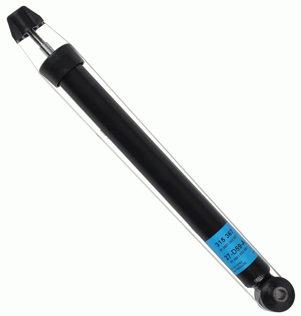 RAISO RS315367