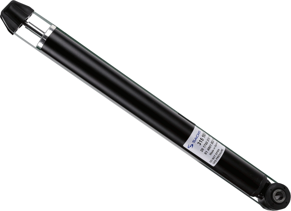 SACHS 315169