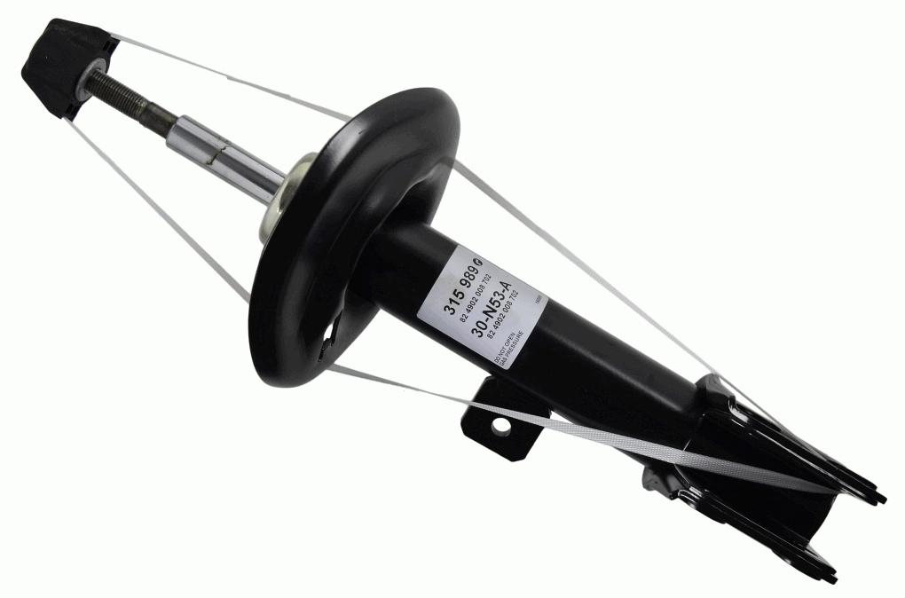 SACHS 315989