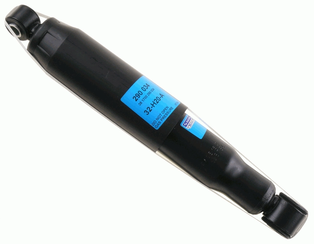 SACHS 290034