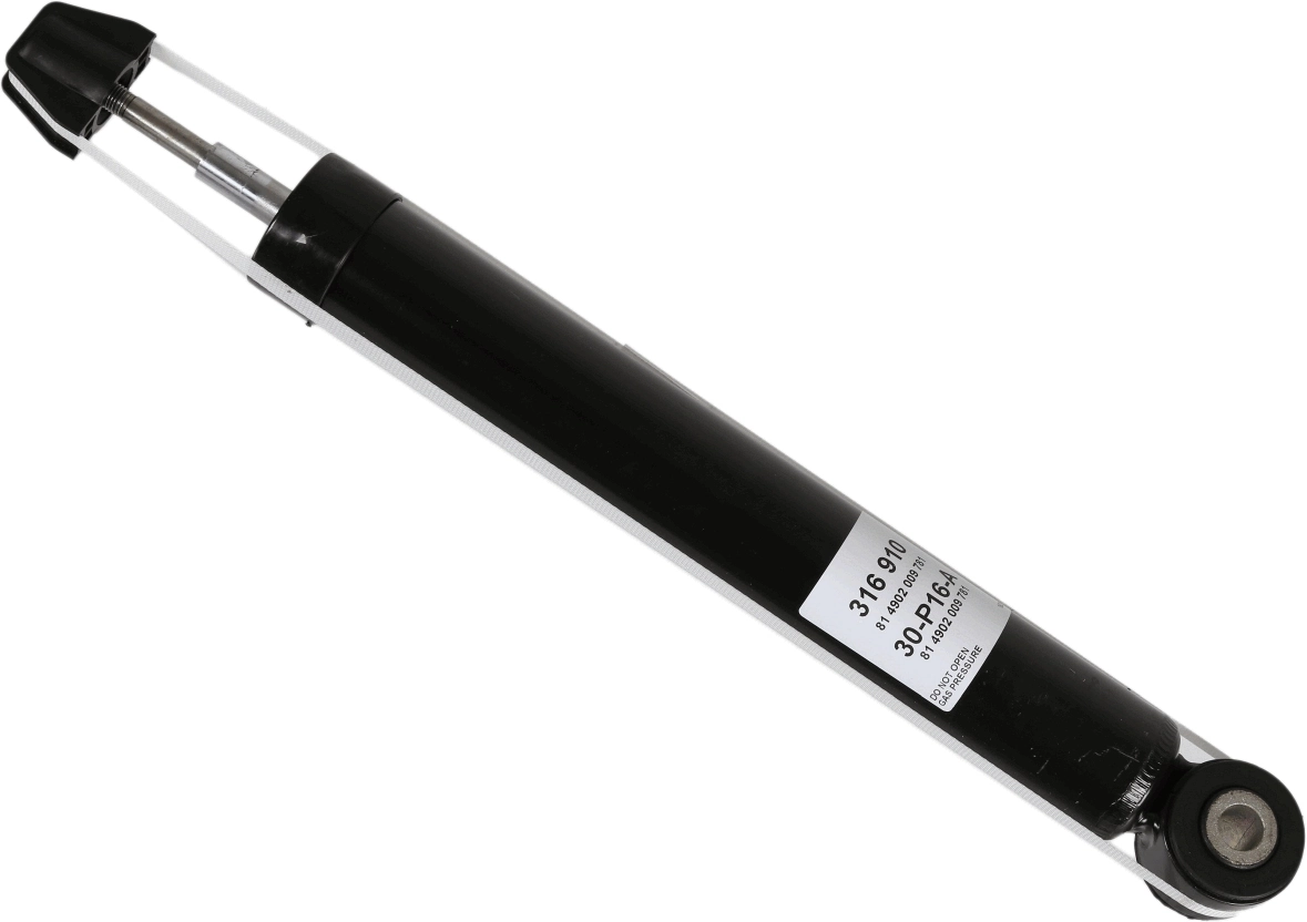 SACHS 316910