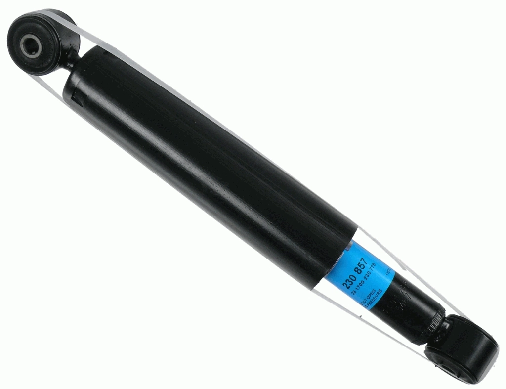 SACHS 230857