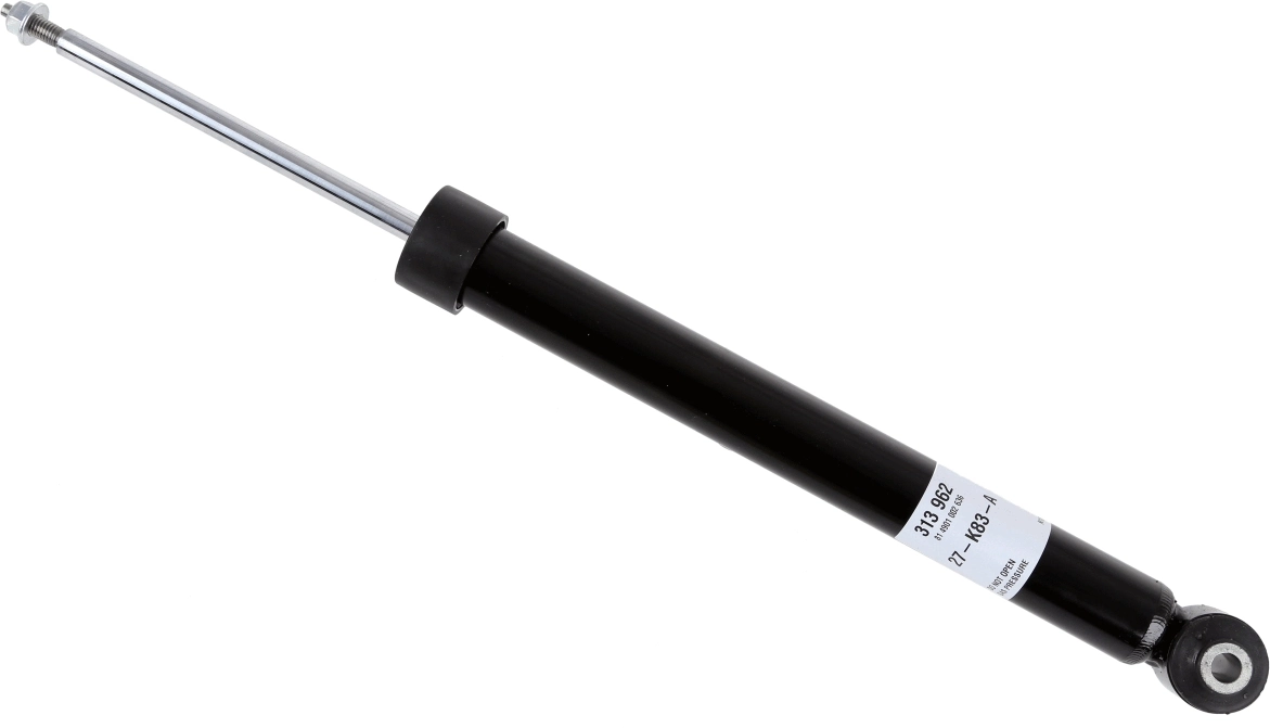 SACHS 313962