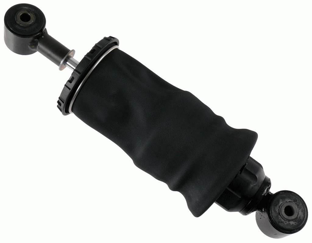 SACHS 313077