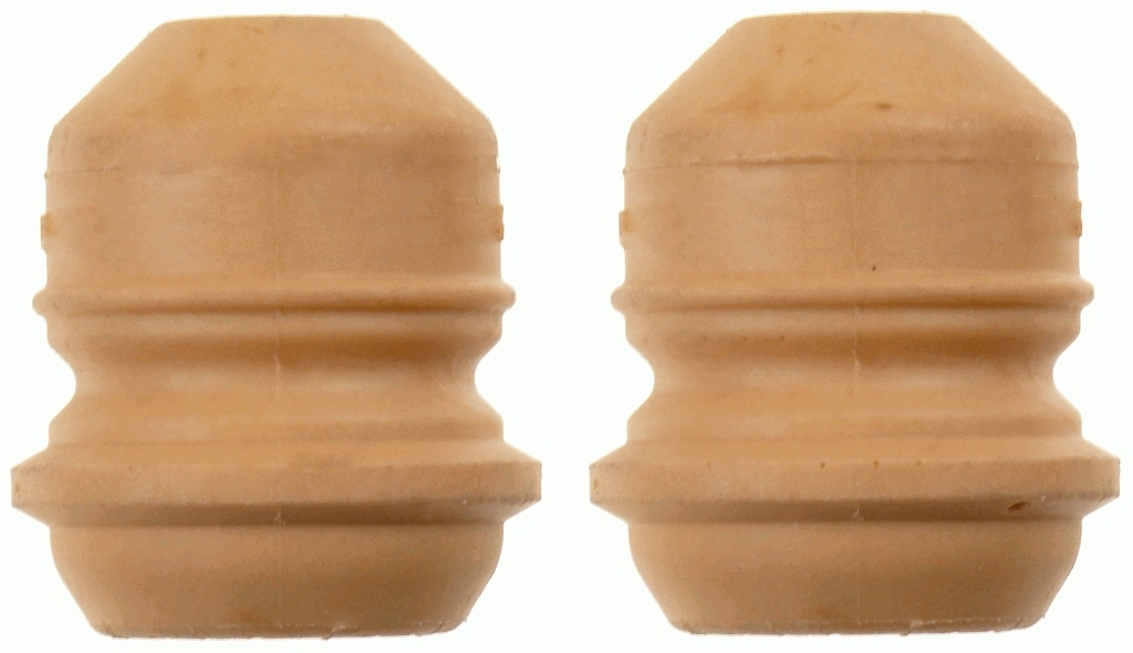 SACHS 900041