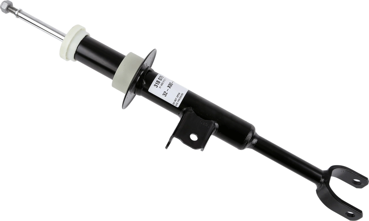 SACHS 318079