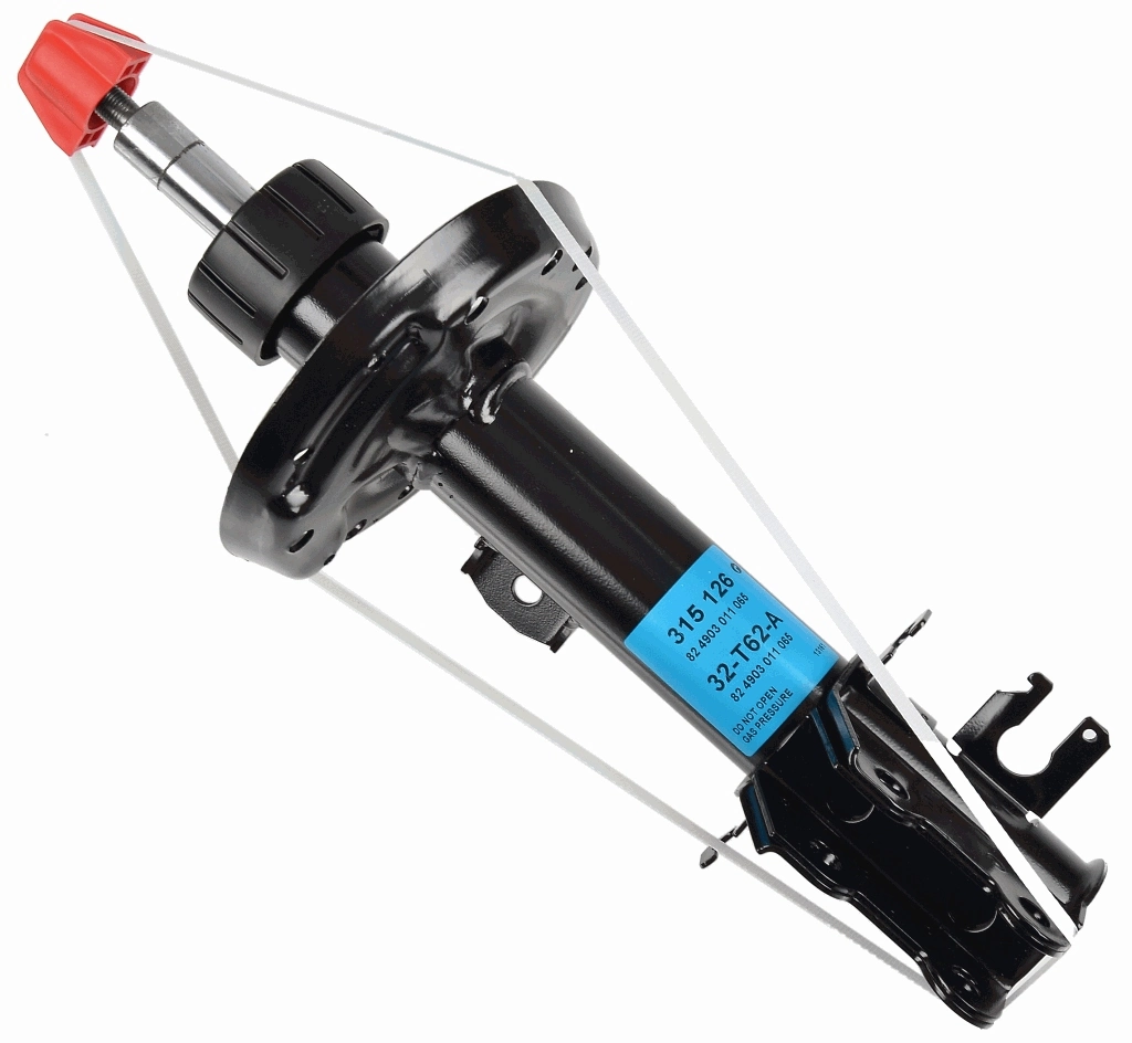 SACHS 315126