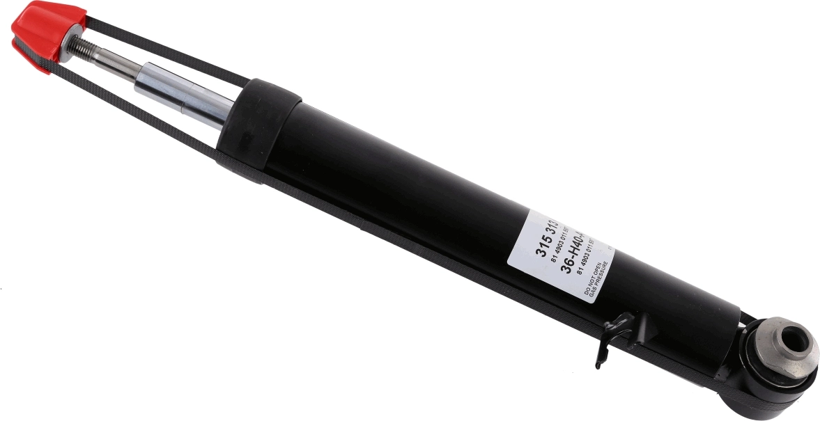 SACHS 315313