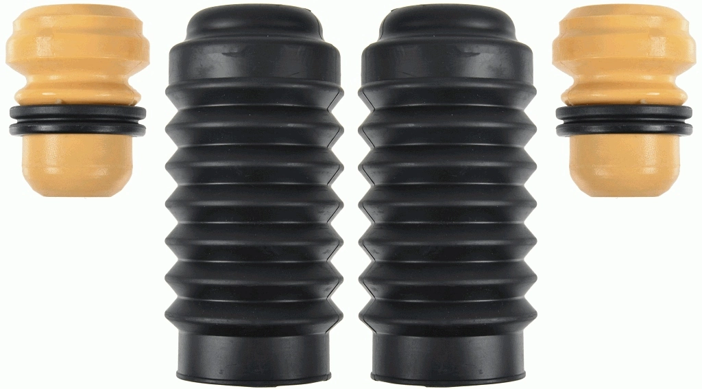 SACHS 900253