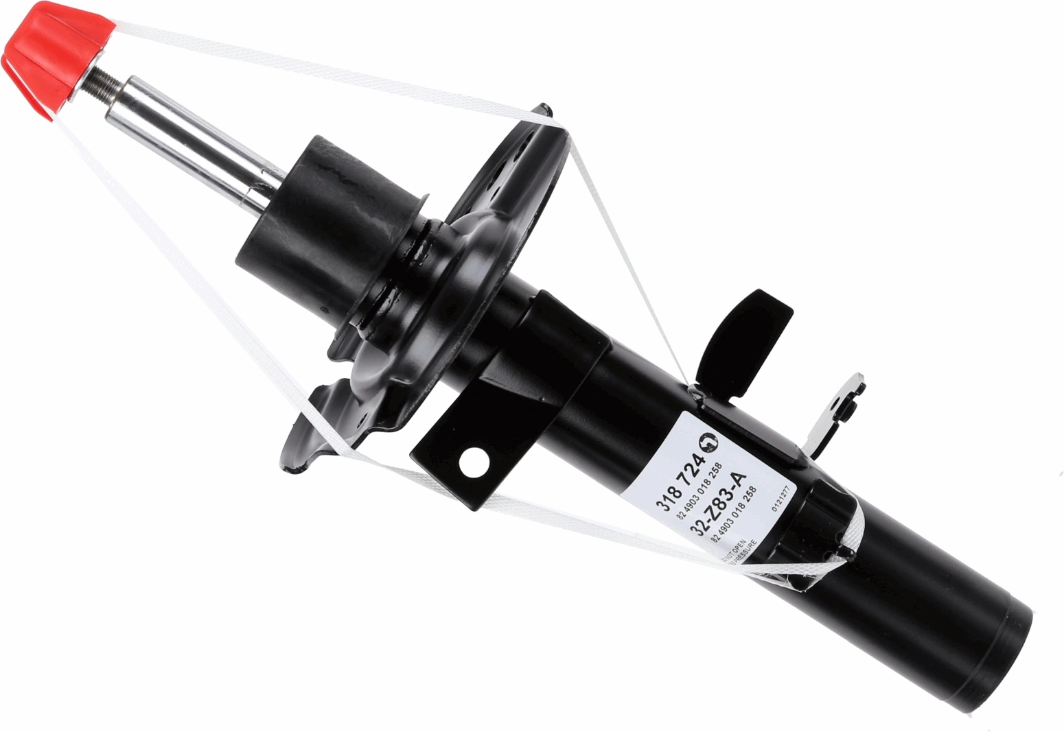 SACHS 318724