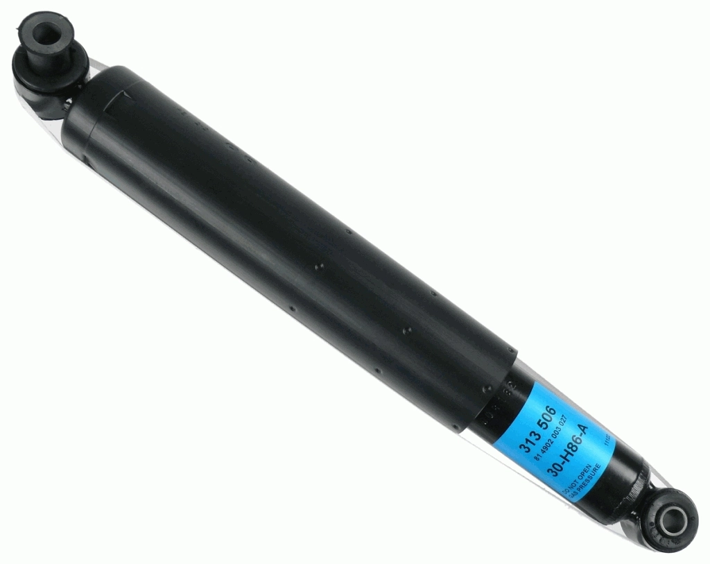 SACHS 313506
