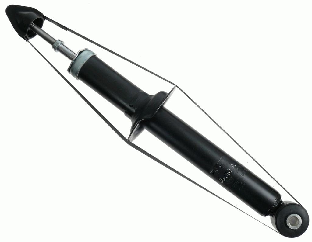 SACHS 313977