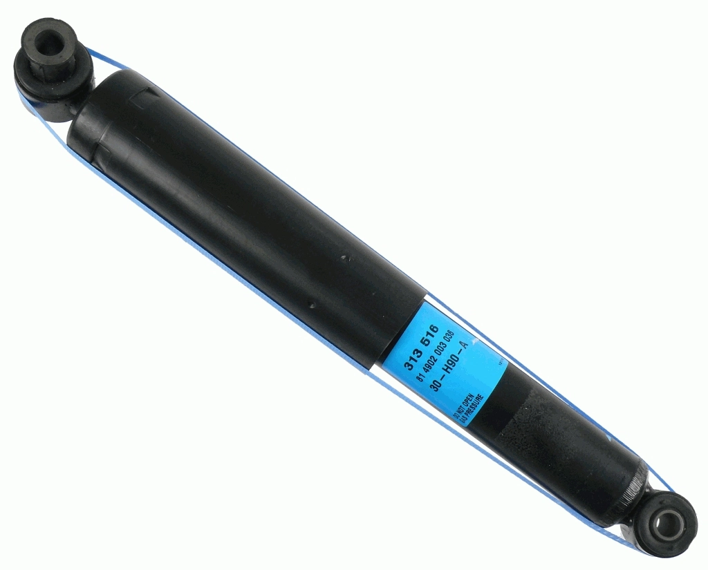 SACHS 313516