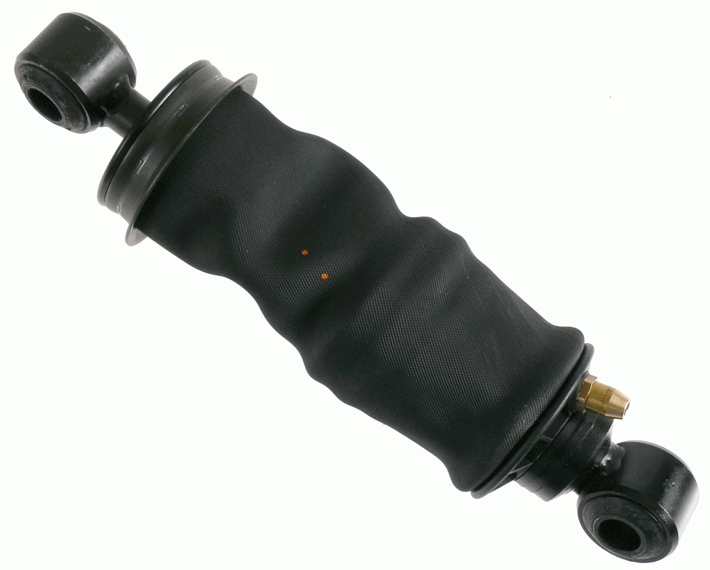 SACHS 310821