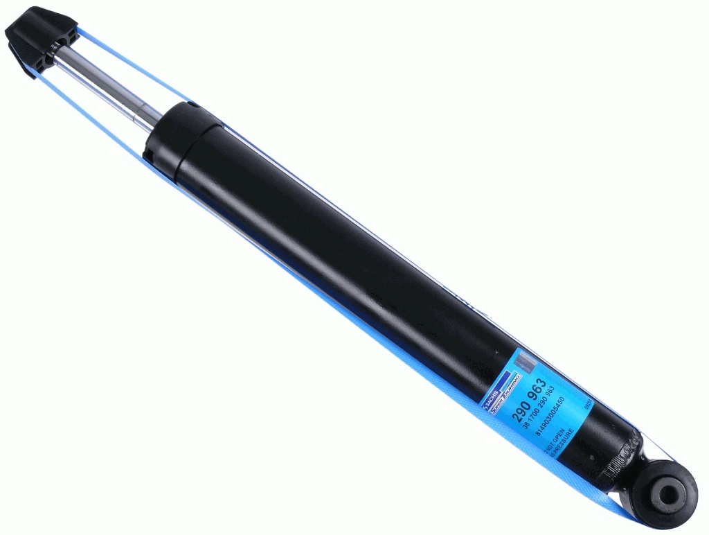 SACHS 290963