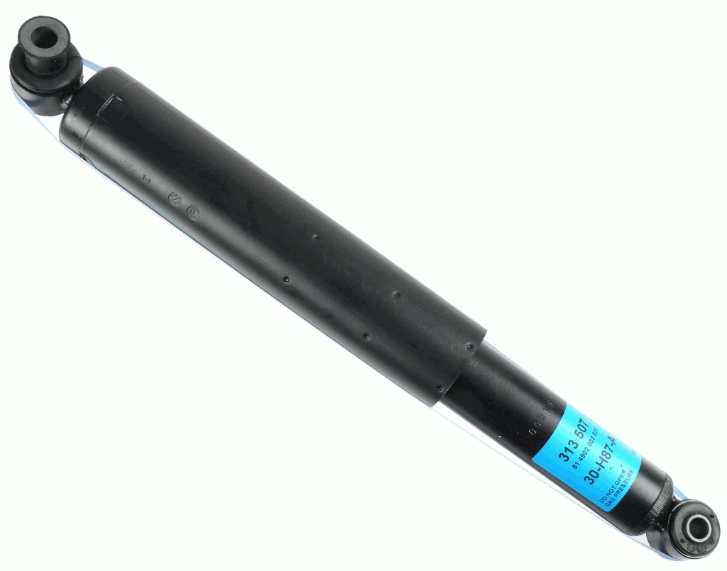 SACHS 313507