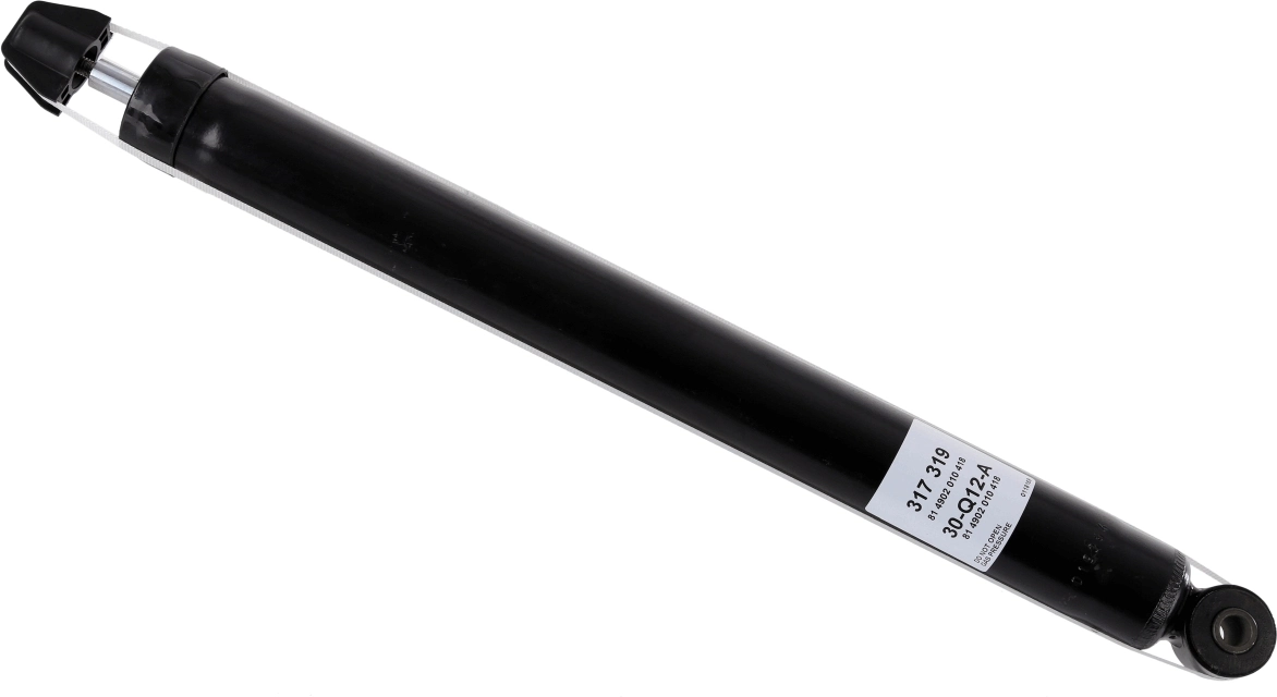 SACHS 317319