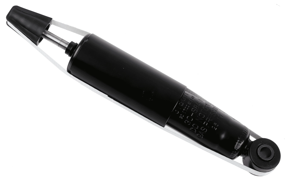 SACHS 318671
