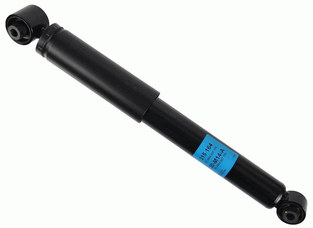 SACHS 315164