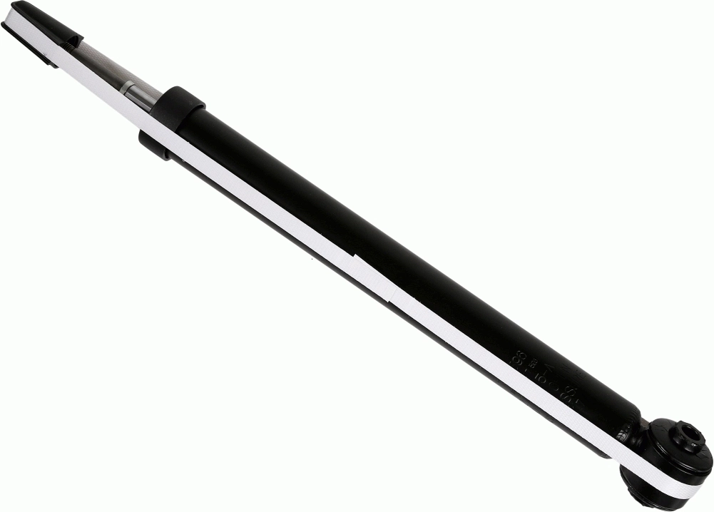 SACHS 317596