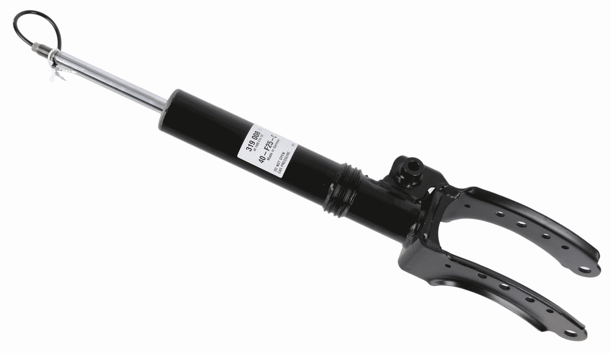 SACHS 319008