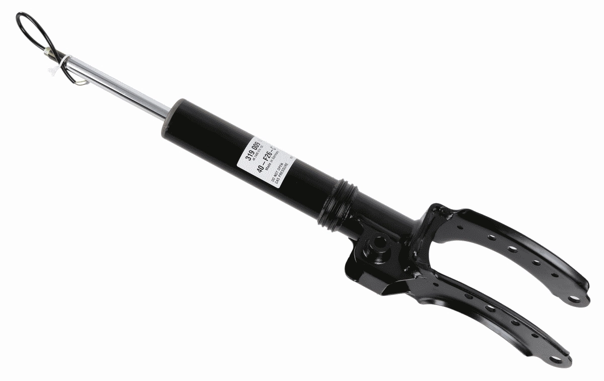 SACHS 319009