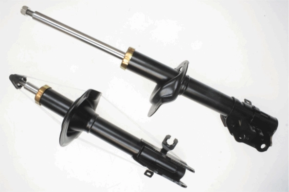 SACHS 317307
