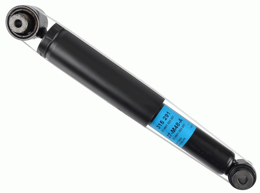 SACHS 315291