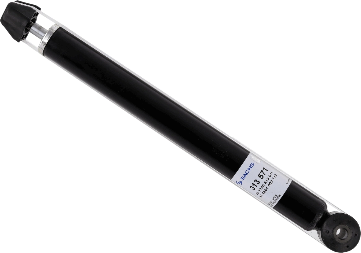 SACHS 313571