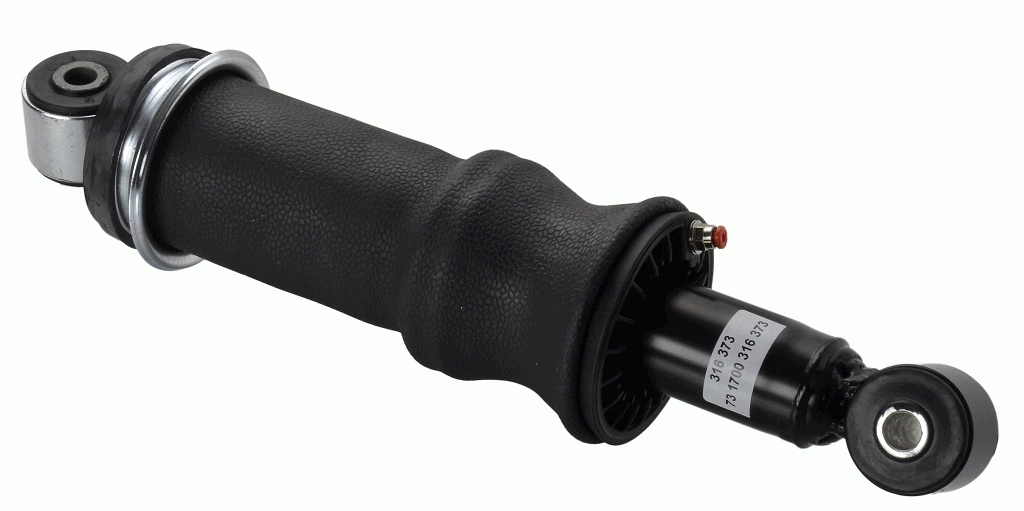 SACHS 316373