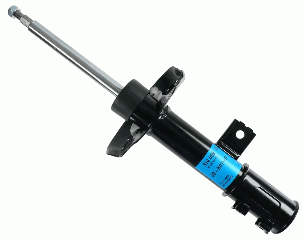RAISO RS314009