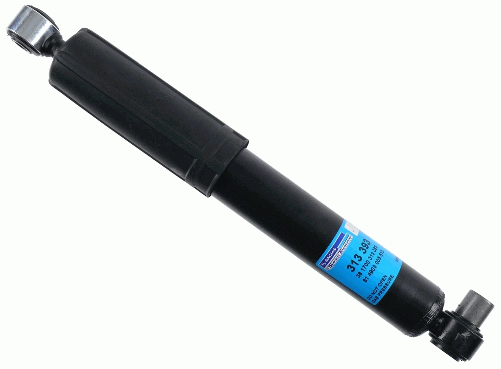 SACHS 313393