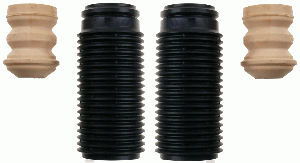 SACHS 900077