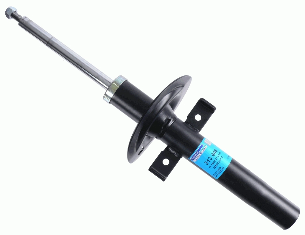 SACHS 313446