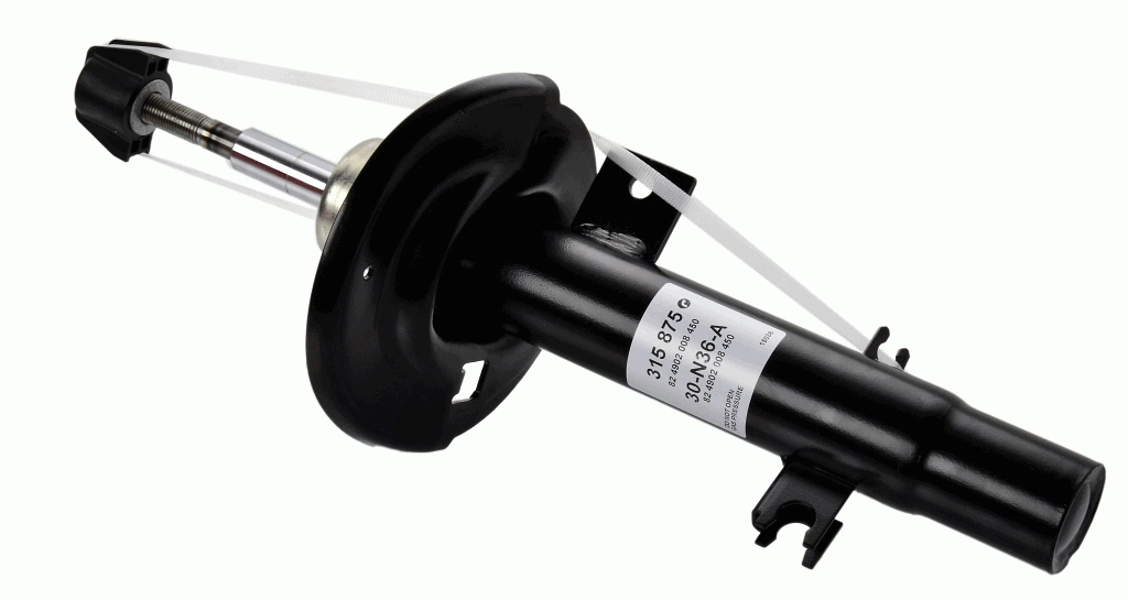 SACHS 315875