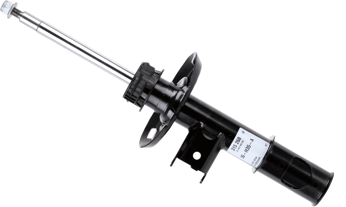 SACHS 315268