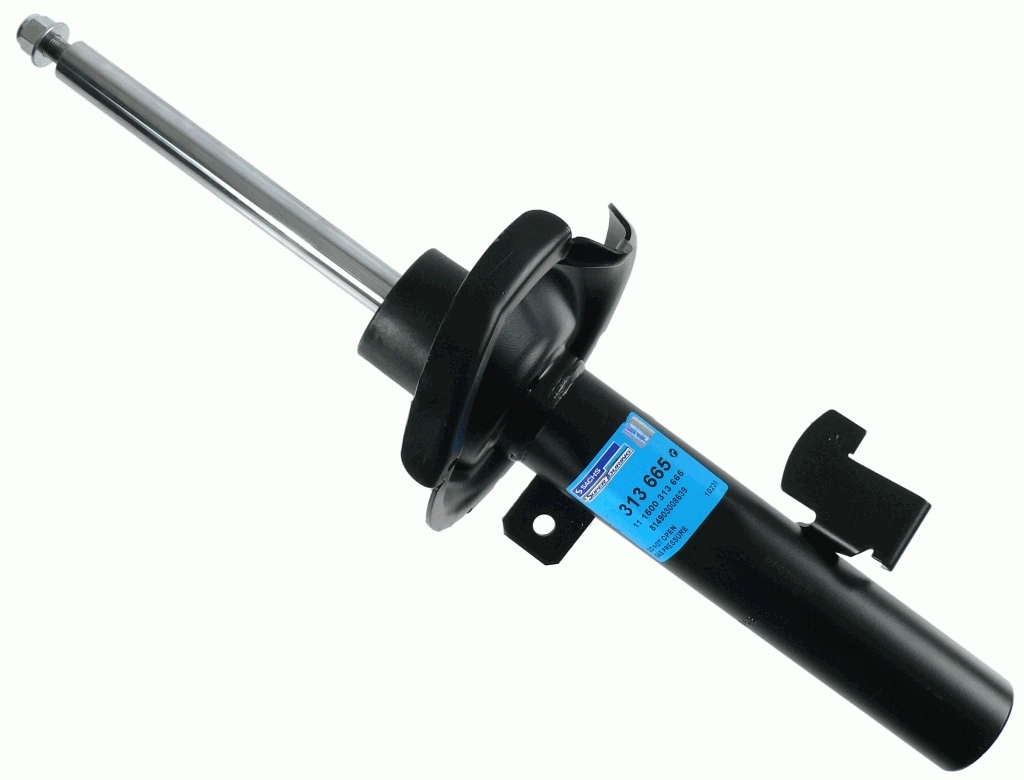 SACHS 313665