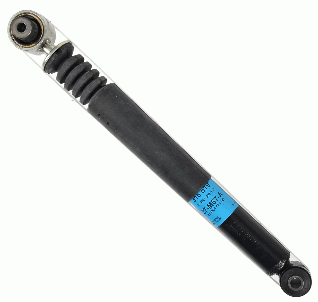 SACHS 315519