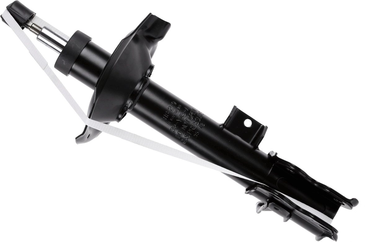 SACHS 318219
