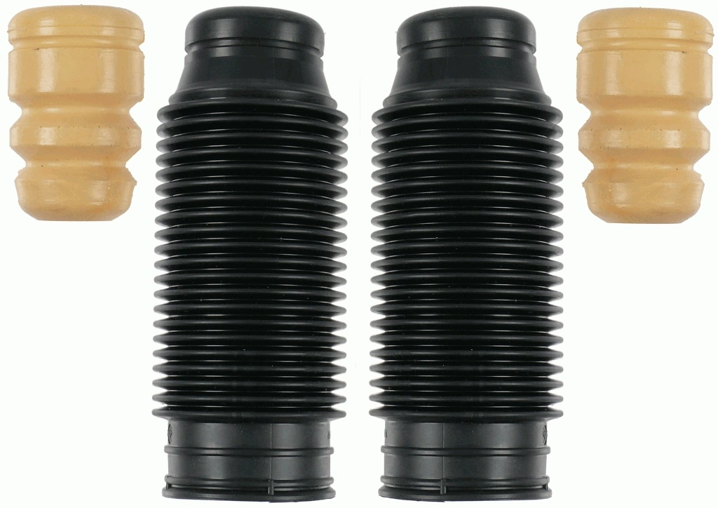 SACHS 900167