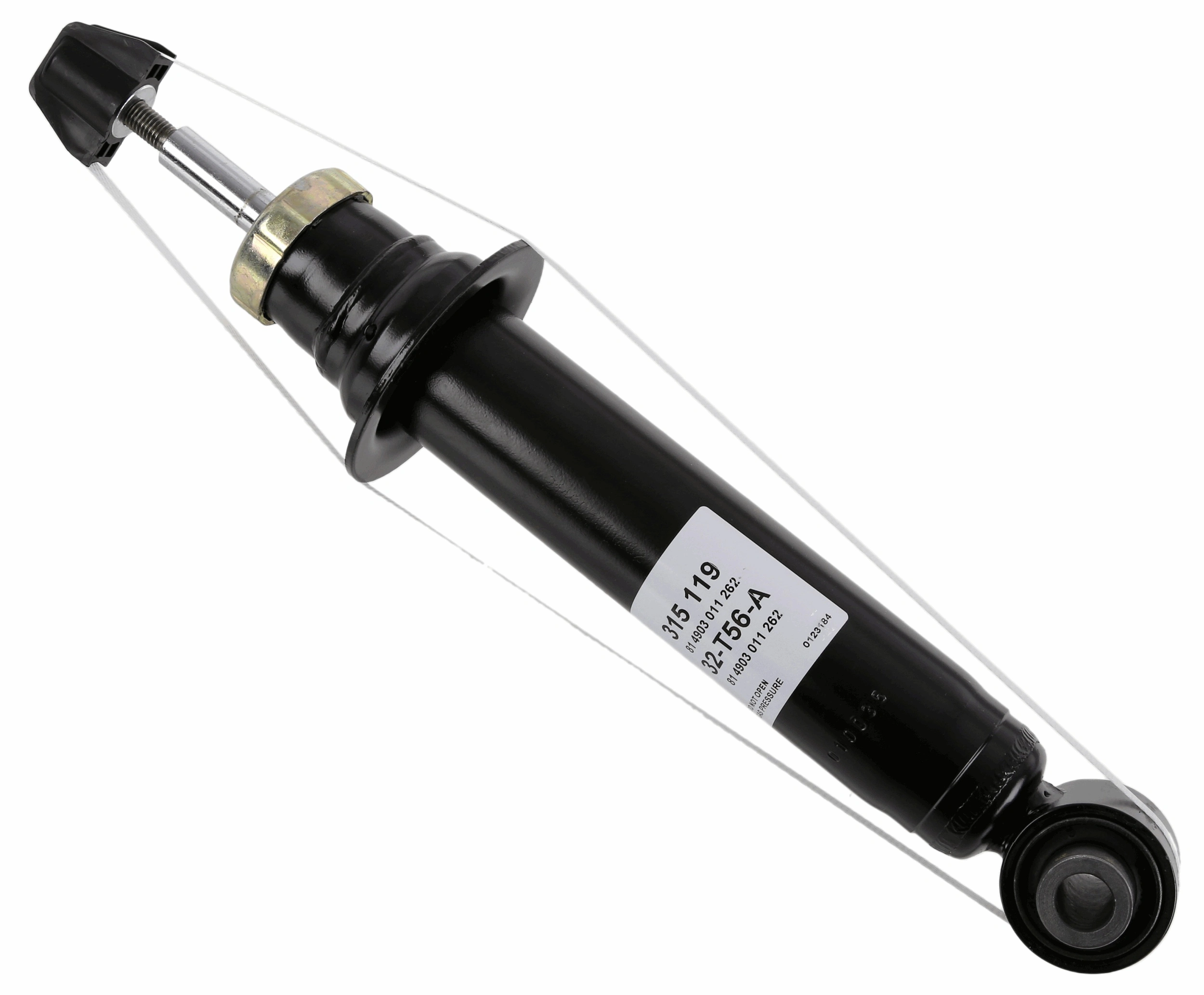 SACHS 315119
