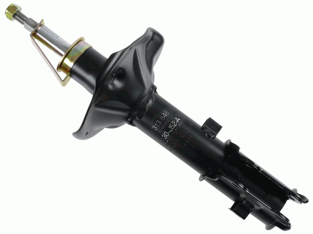 SACHS 313846