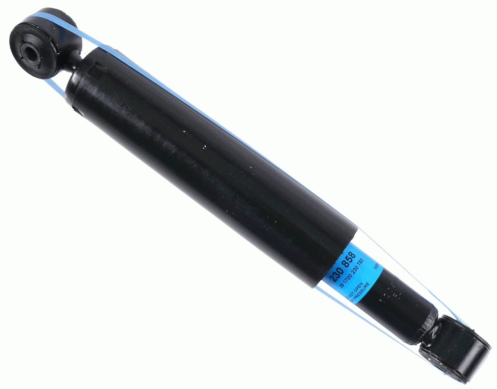 SACHS 230858