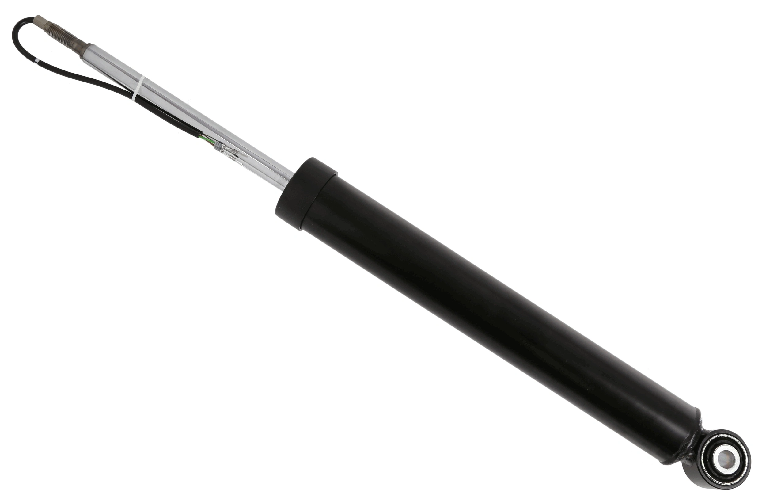SACHS 319069